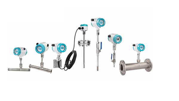 2026年热式气体质量流量计厂家排名最新指南